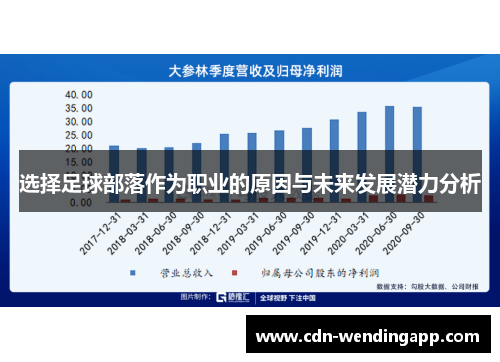 选择足球部落作为职业的原因与未来发展潜力分析