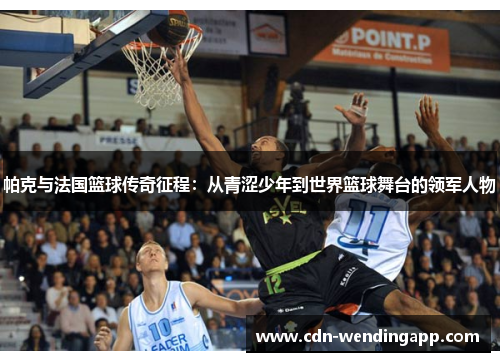 帕克与法国篮球传奇征程：从青涩少年到世界篮球舞台的领军人物