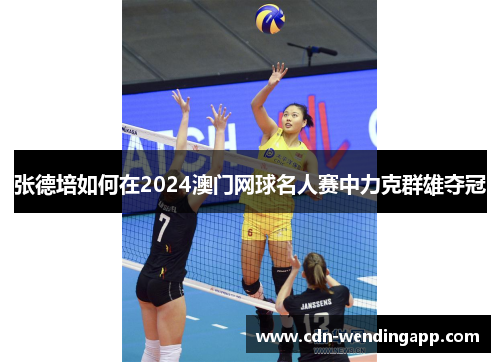 张德培如何在2024澳门网球名人赛中力克群雄夺冠