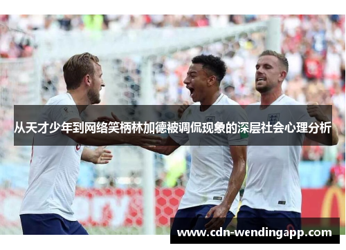 从天才少年到网络笑柄林加德被调侃现象的深层社会心理分析