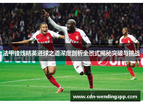 法甲锋线精英进球之道深度剖析全景式揭秘突破与挑战