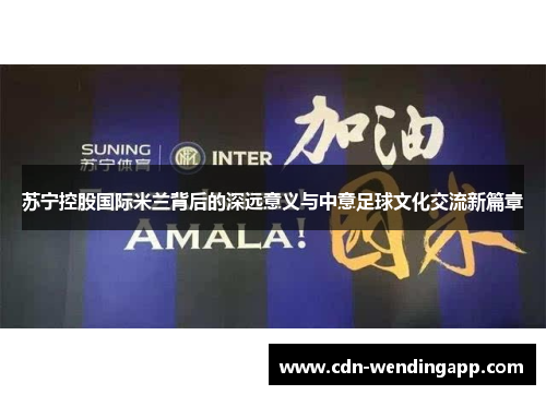 苏宁控股国际米兰背后的深远意义与中意足球文化交流新篇章