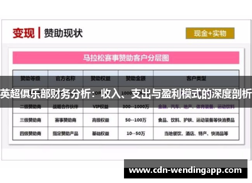 英超俱乐部财务分析：收入、支出与盈利模式的深度剖析