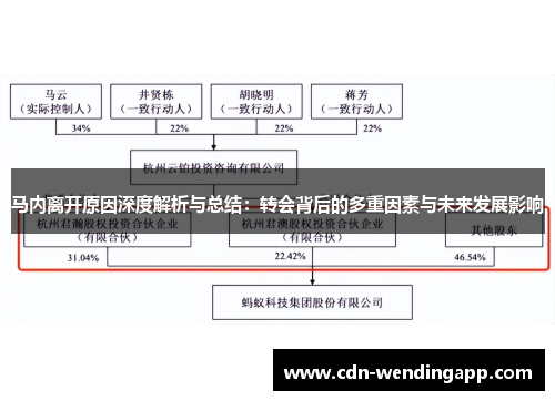 马内离开原因深度解析与总结：转会背后的多重因素与未来发展影响