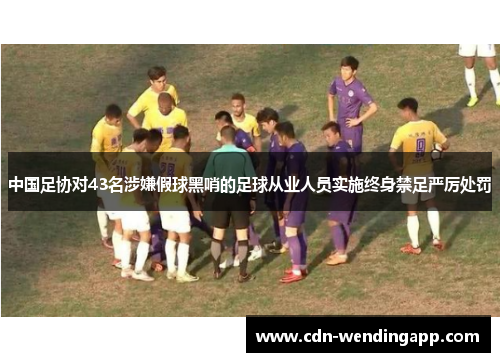 中国足协对43名涉嫌假球黑哨的足球从业人员实施终身禁足严厉处罚 中国足协对43名涉嫌假球黑哨的足球从业人员实施终身禁足严厉处罚