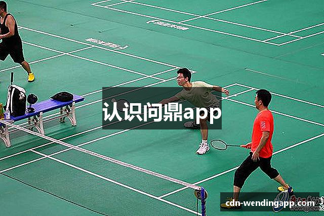 认识问鼎app